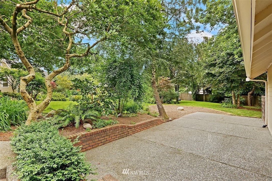 220 174th Street Southwest Bothell, WA 98012 - Photo 32 of 35 a view of backyard and tree