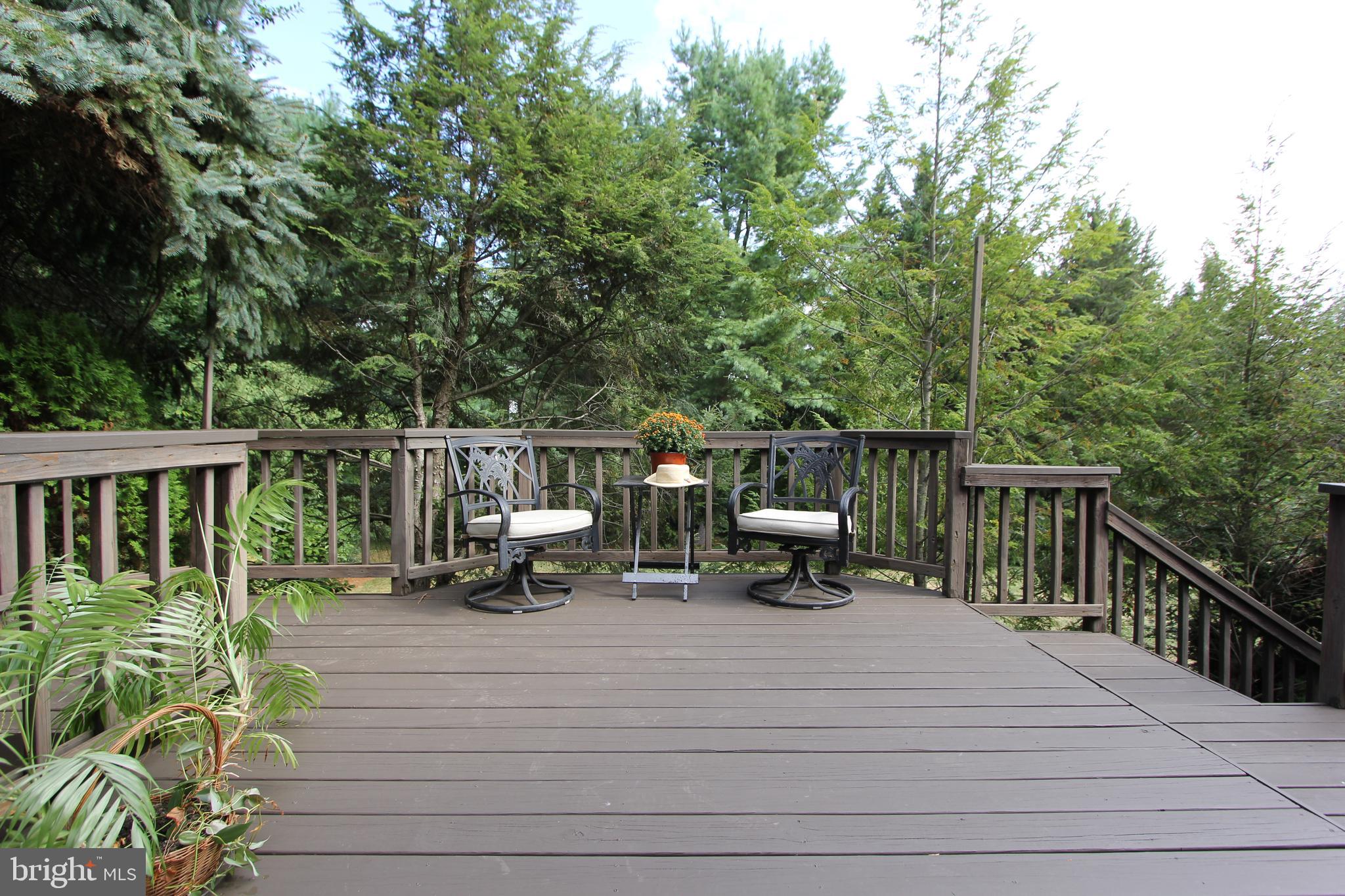 6670 Springhill Drive Frederick, MD 21702 - Photo 61 of 98 Deck, view 3