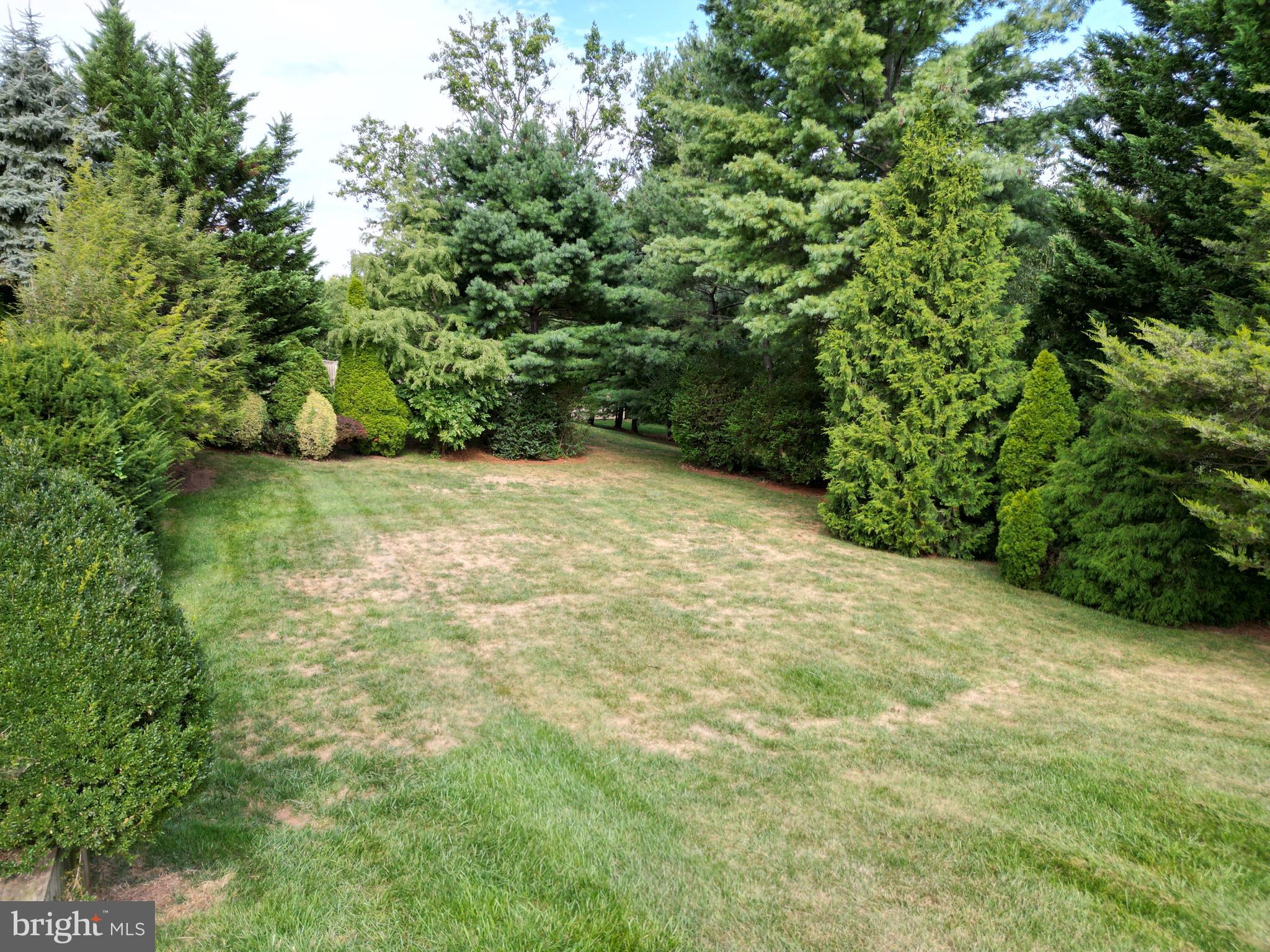 6670 Springhill Drive Frederick, MD 21702 - Photo 69 of 98 Very private with lots of room to play!