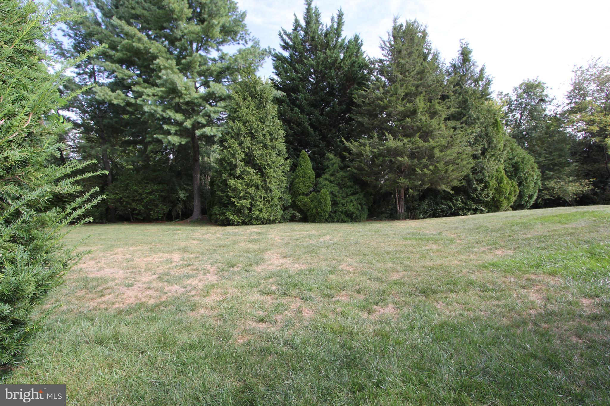 6670 Springhill Drive Frederick, MD 21702 - Photo 70 of 98 Amazing views of the tree-lined common area