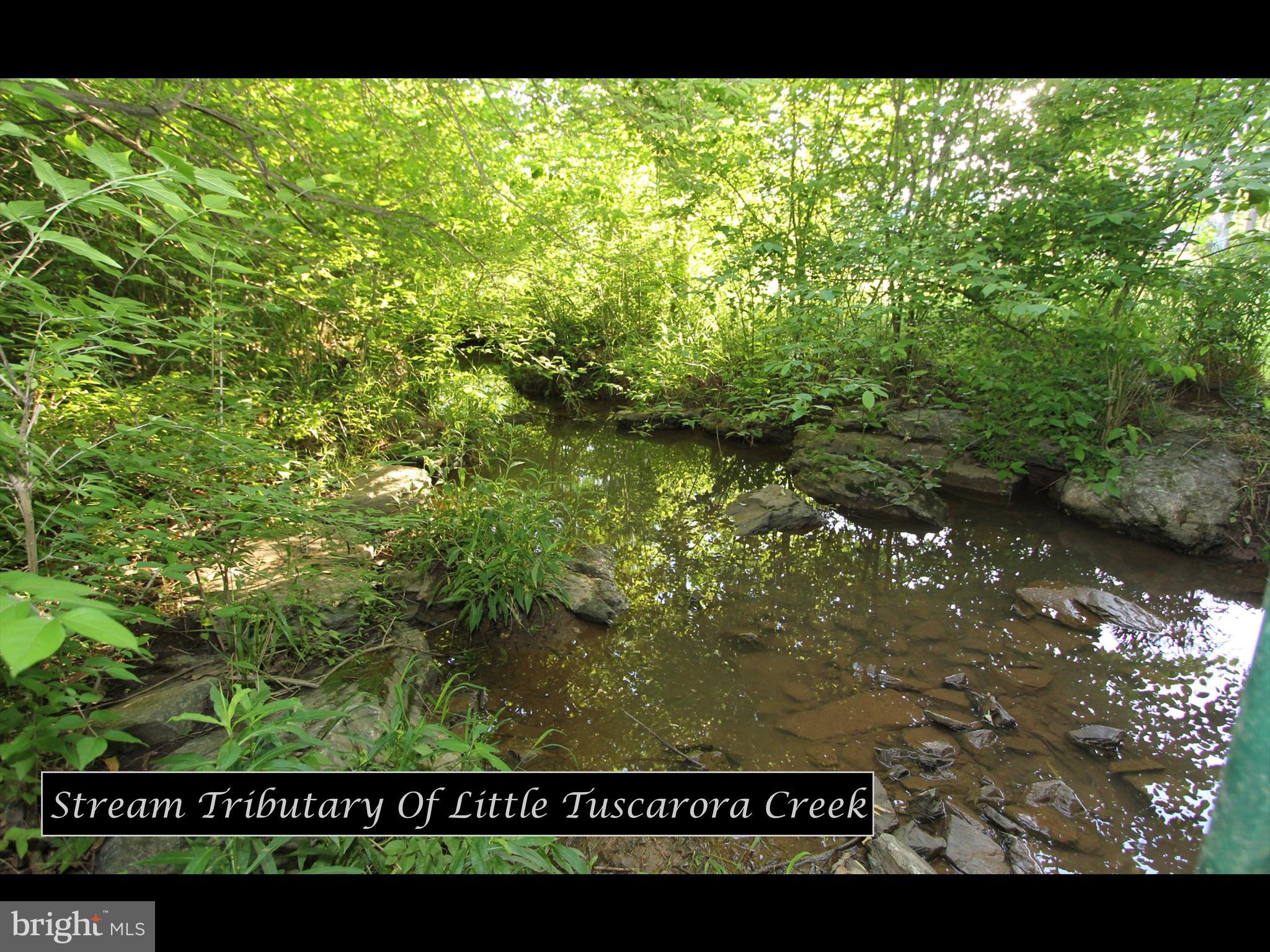 6670 Springhill Drive Frederick, MD 21702 - Photo 96 of 98