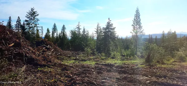 $159,000 | 0 Ryan Loop, St. Maries, ID 83861