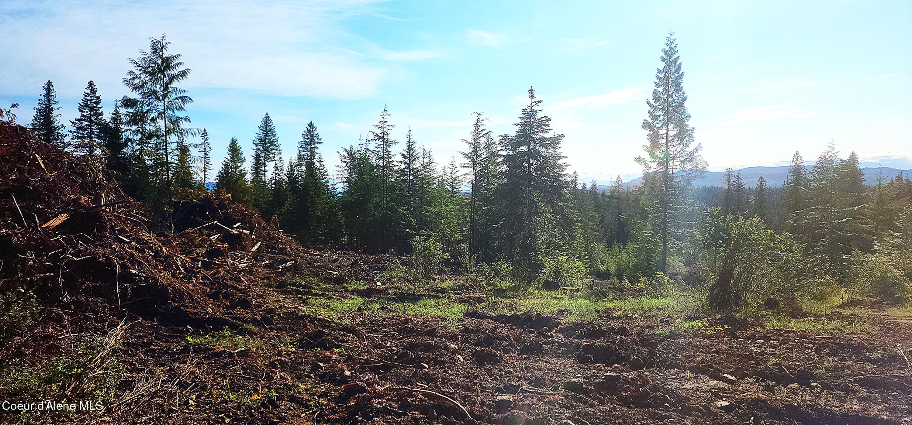 View SE to mountains