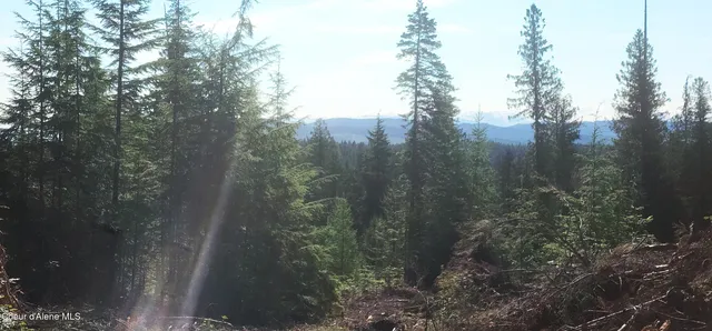 $159,000 | 0 Ryan Loop, St. Maries, ID 83861