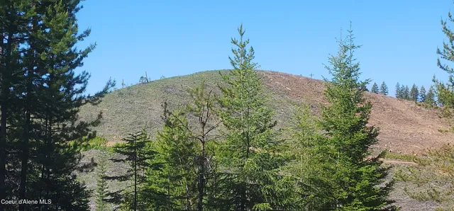 $159,000 | 0 Ryan Loop, St. Maries, ID 83861