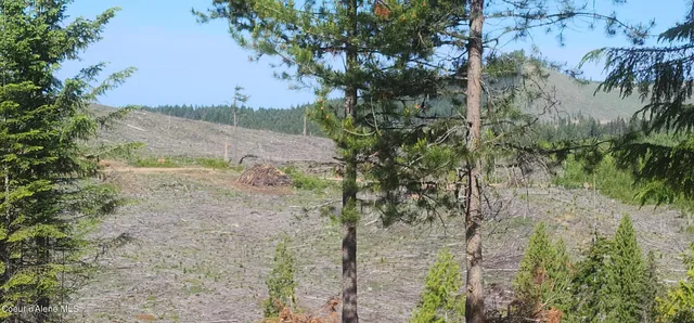 $159,000 | 0 Ryan Loop, St. Maries, ID 83861