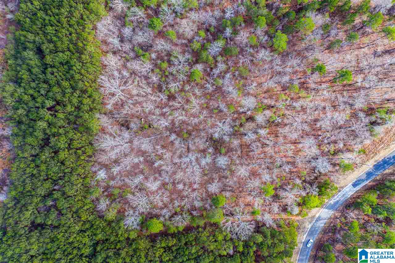 Shore Side Lane Sylacauga, AL 35151 - Photo 6 of 15