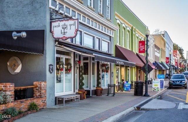 311 Jeter Grove Road Apex, NC 27523 - Photo 16 of 30 Downtown