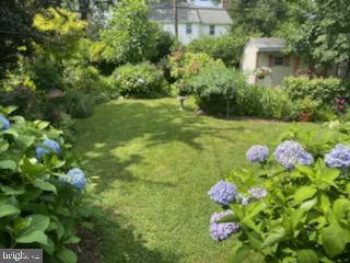 60 East Clearfield Road Havertown, PA 19083 - Photo 45 of 57 a bunch of flowers