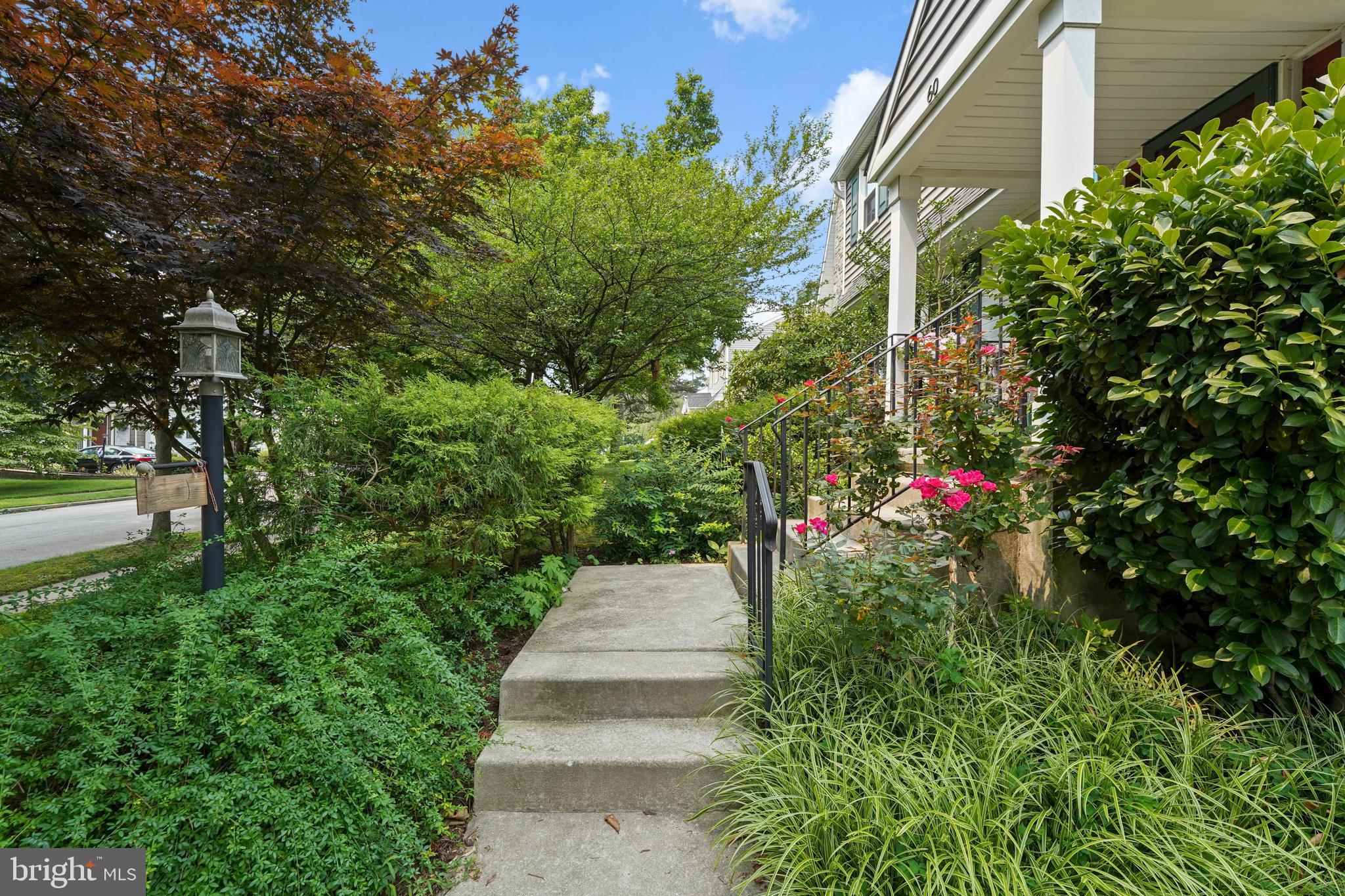 60 East Clearfield Road Havertown, PA 19083 - Photo 56 of 57 a picture of flowers