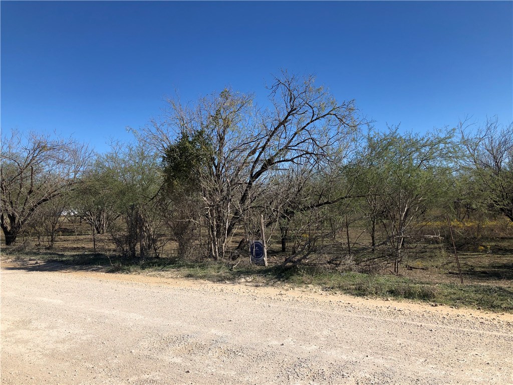 0 Plant Rd Prairie Luling, TX 78648 - Photo 1 of 1