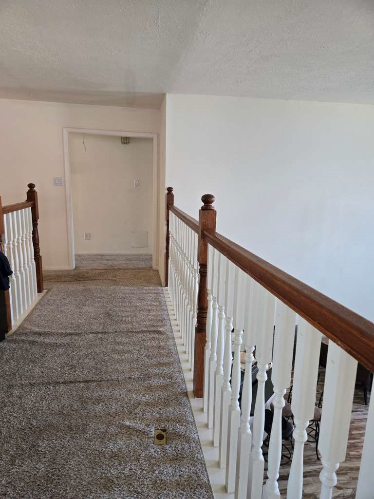 13906 Winter Rose Way Houston, TX 77083 - Photo 16 of 29 Spacious living area with an open layout, providing a comfortable space for relaxing or entertaining guests.