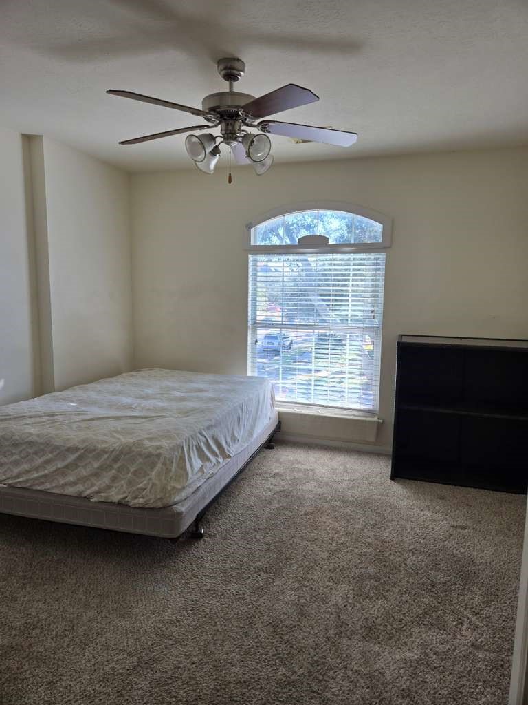 13906 Winter Rose Way Houston, TX 77083 - Photo 20 of 29 Private primary bedroom offering a comfortable retreat with sufficient space for furnishings and personal touches.
