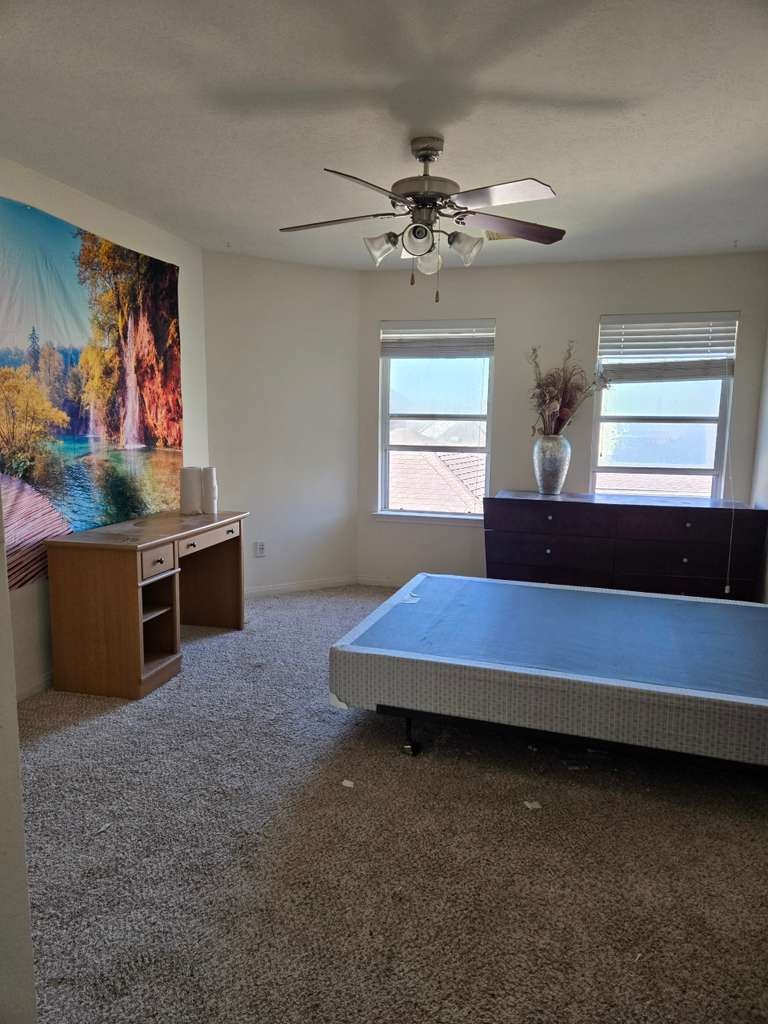13906 Winter Rose Way Houston, TX 77083 - Photo 21 of 29 Private primary bedroom offering a comfortable retreat with sufficient space for furnishings and personal touches.