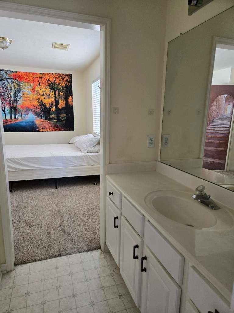 13906 Winter Rose Way Houston, TX 77083 - Photo 27 of 29 Well-appointed secondary bathrooms designed for comfort and functionality.