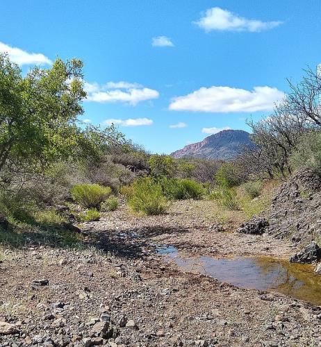 4747 East Walnut Spring Road Douglas, AZ 85607 - Photo 13 of 21