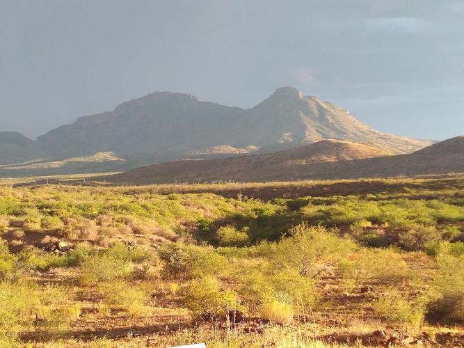 4747 East Walnut Spring Road Douglas, AZ 85607 - Photo 21 of 21