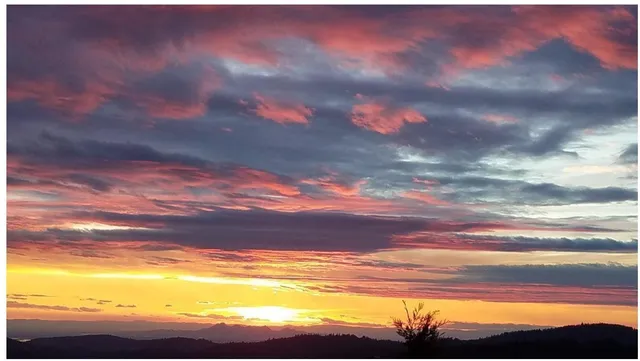 a view of beach and ocean