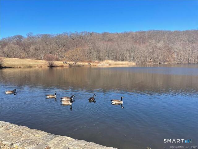 61 8th Street Derby, CT 06418 - Photo 11 of 12