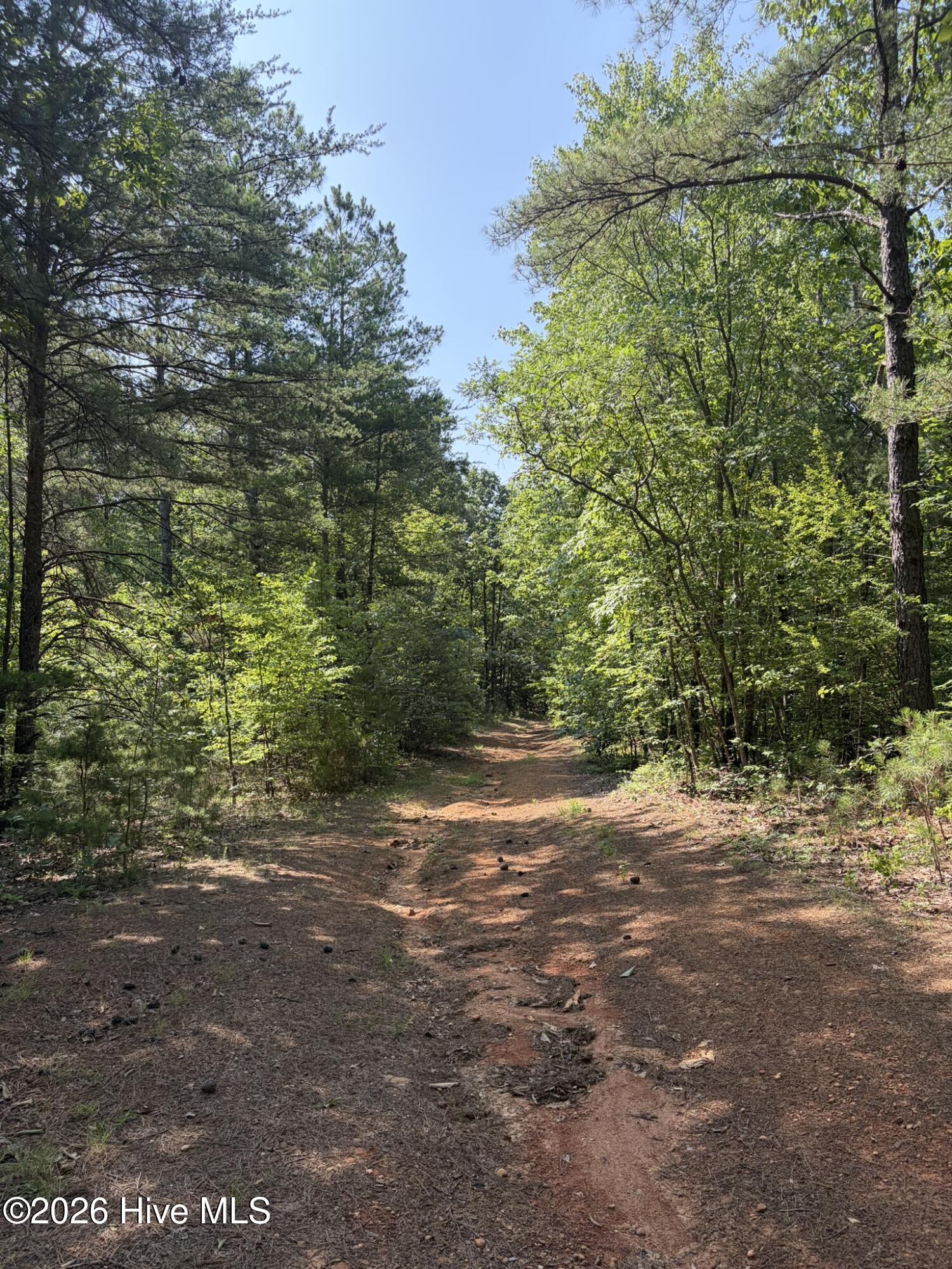 Tbd Green Road Ellerbe, NC 28338 - Photo 21 of 23