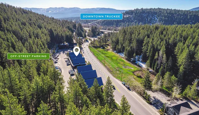 a view of a yard with plants