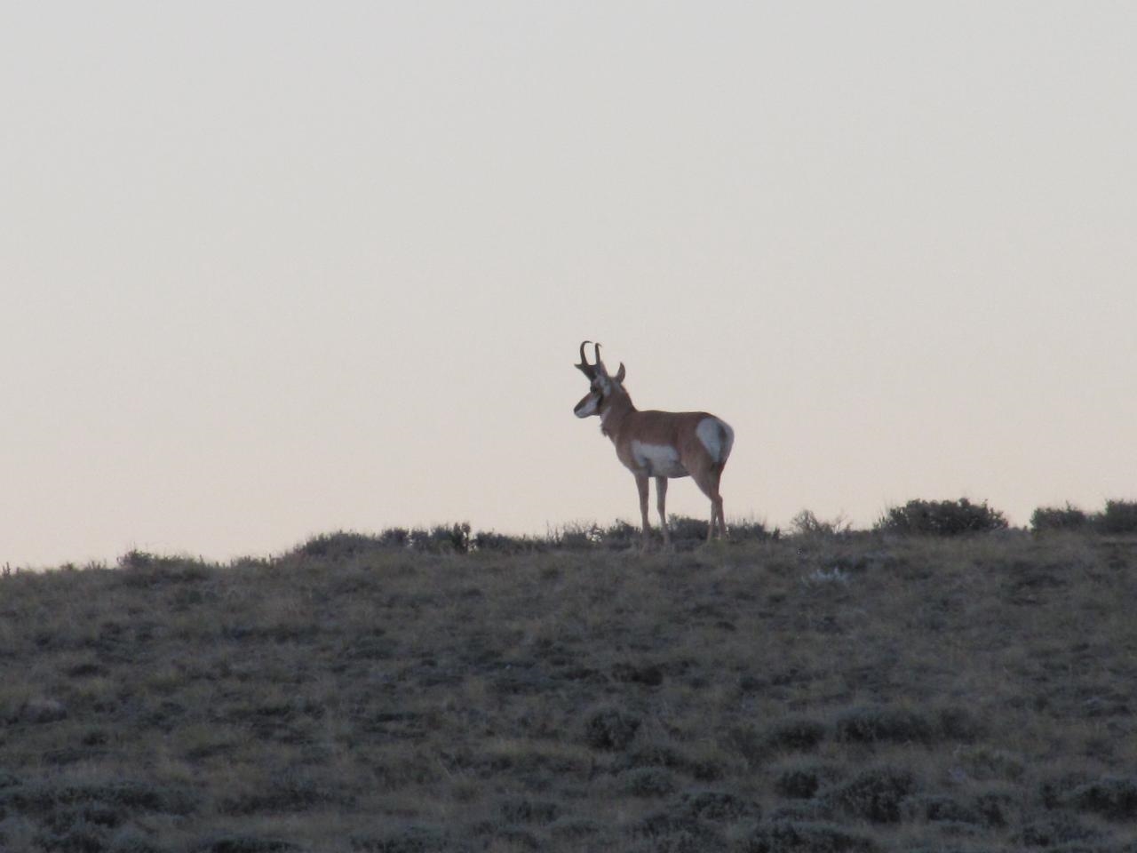 Shamrock Road Rawlins, WY 82301 - Photo 19 of 30