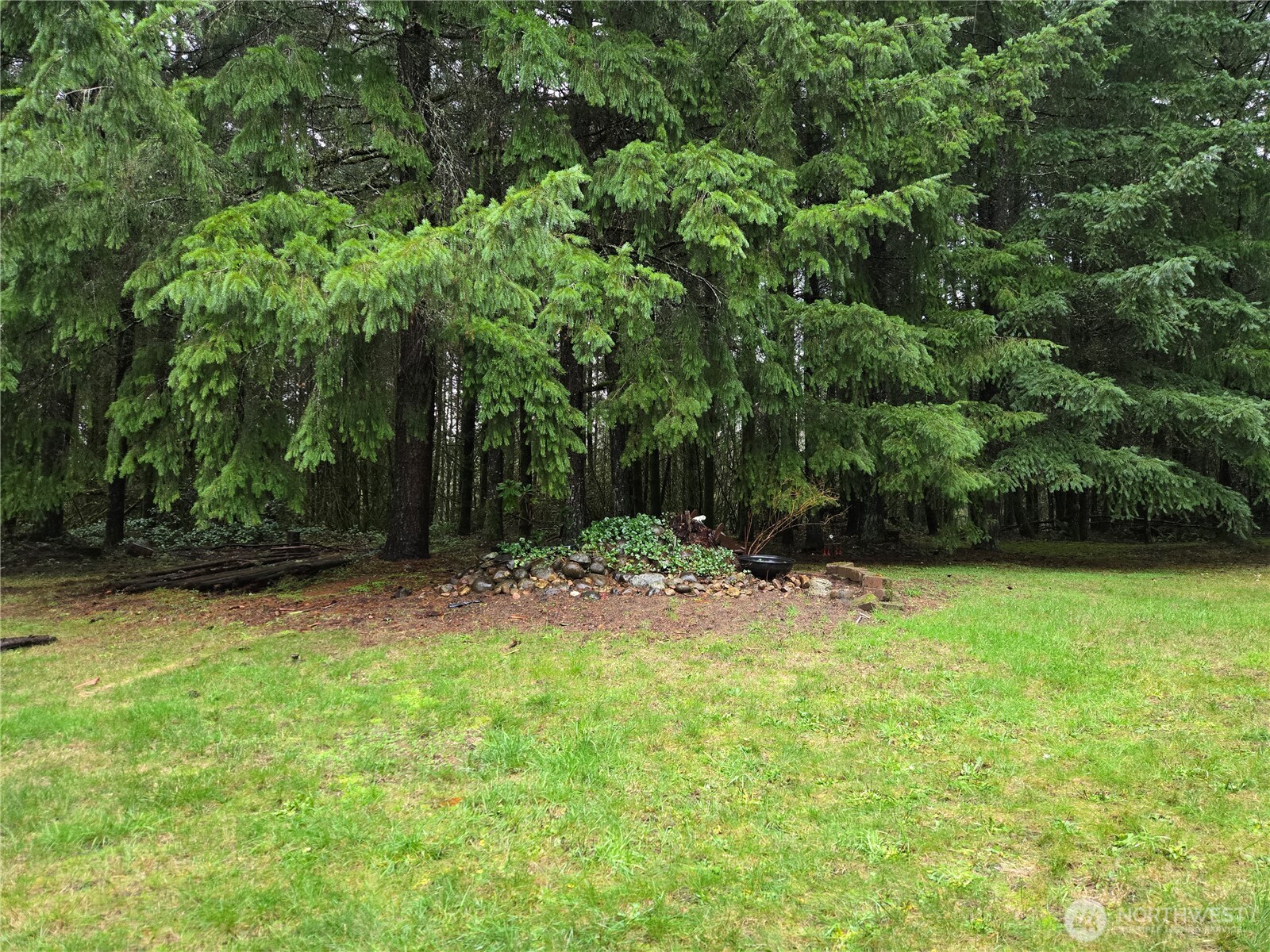 313 Minkler Road Winlock, WA 98596 - Photo 30 of 40