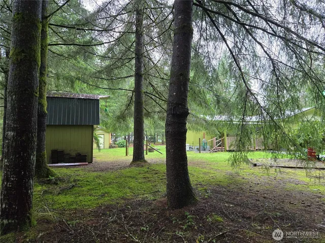 a view of a park with large trees