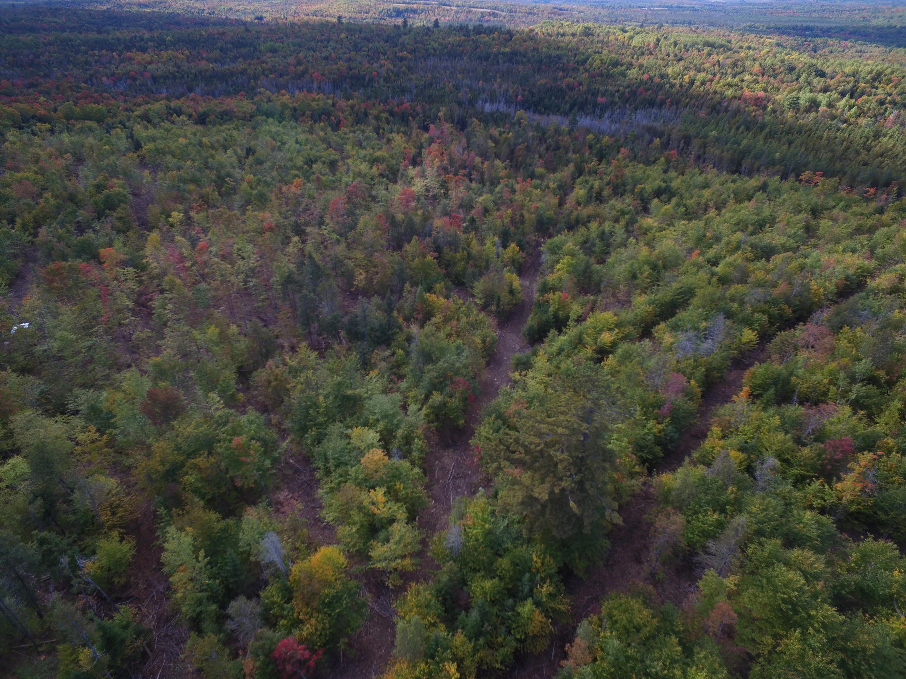 Off Off Clear Cut Lodge Road Springfield, ME 04487 - Photo 10 of 16 DJI_0028