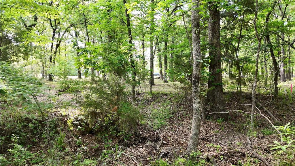 Lot 62 Anchor Point Quinlan, TX 75474 - Photo 6 of 8 a view of forest