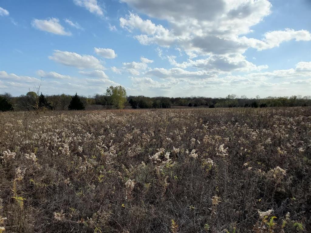 Tbd Hagerman Road Pottsboro, TX 75076 - Photo 5 of 5 a view of mountain with lake view