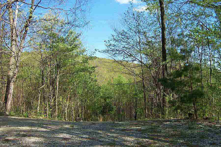 4229 Cub Creek Road Roseland, VA 22967 - Photo 2 of 3 Gallery Image 2
