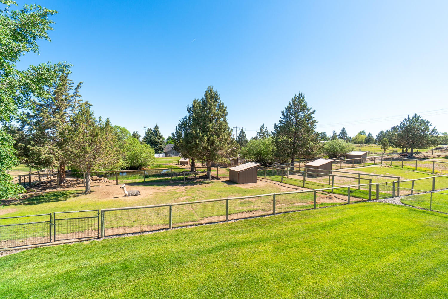 61542 Ward Road Bend, OR 97702 - Photo 43 of 65 Pastures.