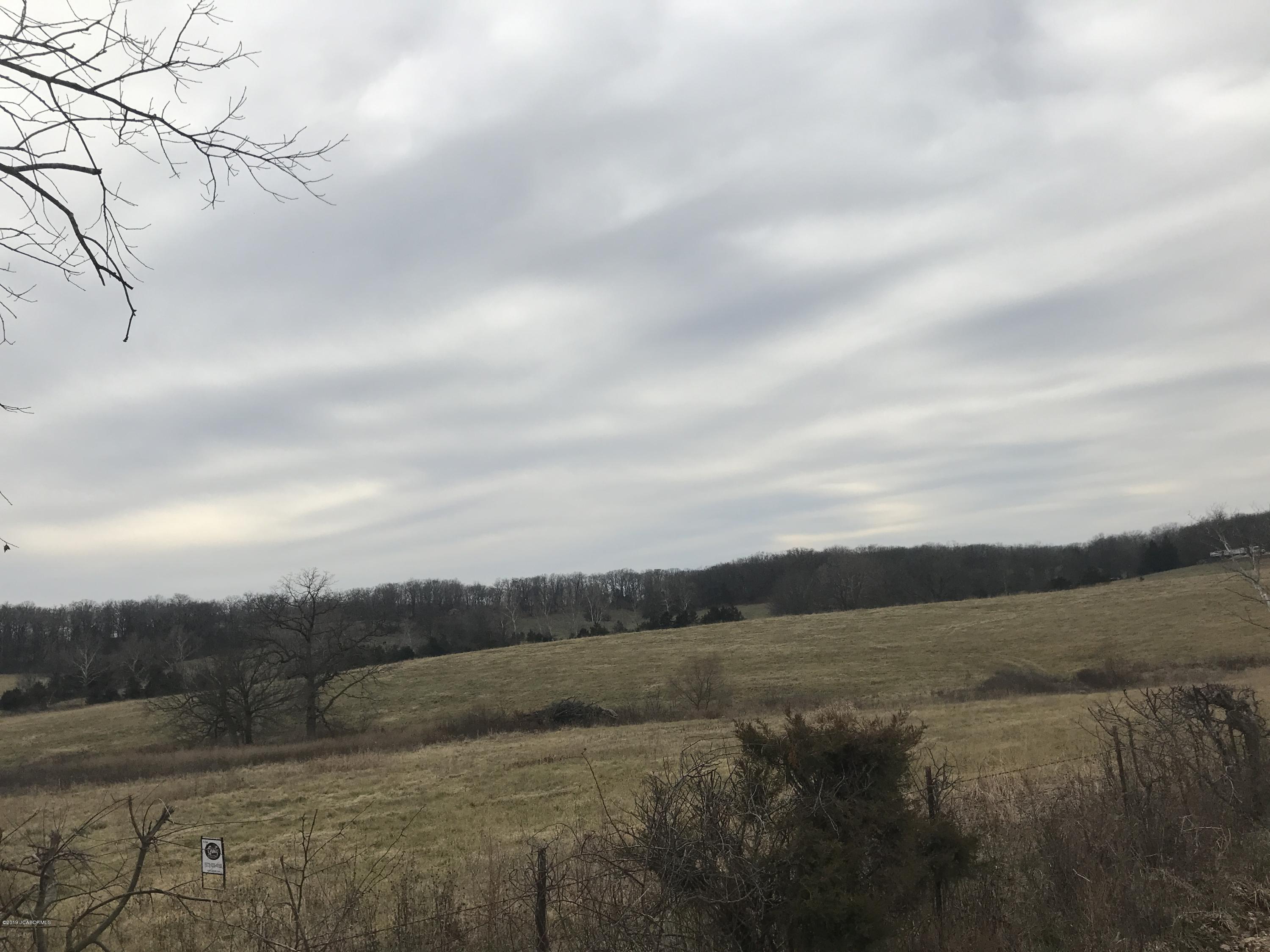 Tbd County Line Road Russellville, MO 65074 - Photo 3 of 4