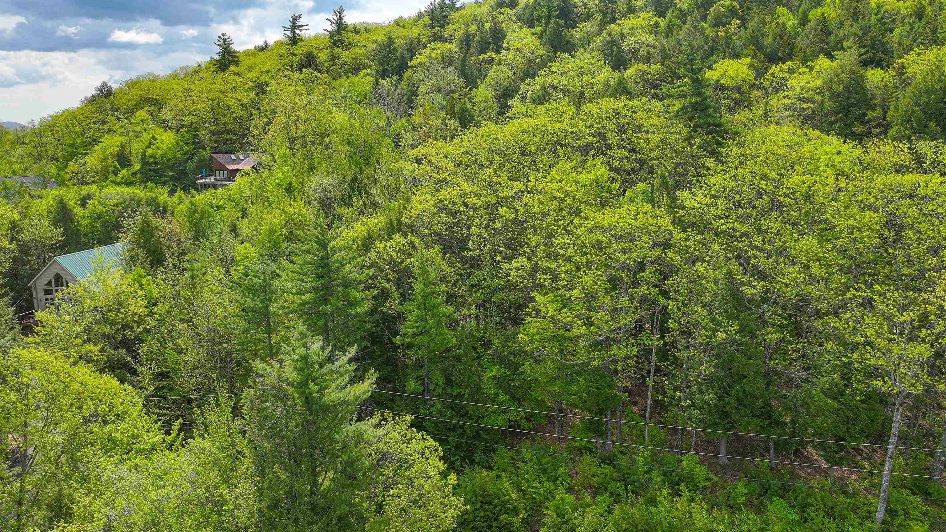 44 Regent Hill Road, Unit LOT # 113 Conway, NH 03818 - Photo 5 of 14