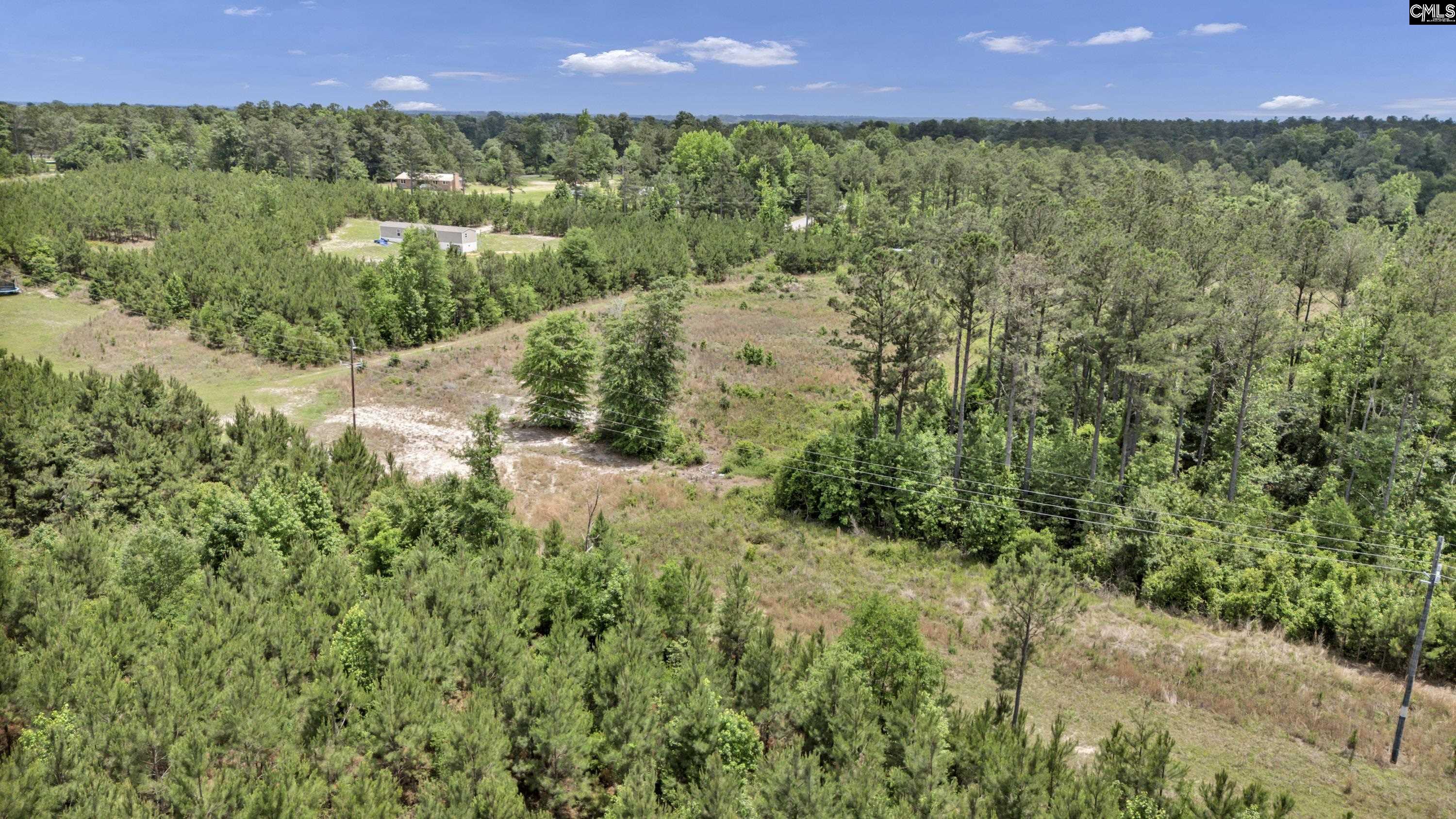 Na Bull Swamp Road North, SC 29112 - Photo 26 of 28