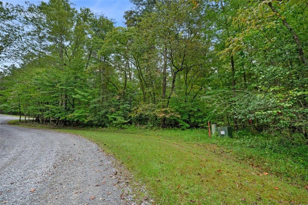 Lot 23 Possum Poke Road Ellijay, GA 30536 - Photo 8 of 18 Gallery Image 8