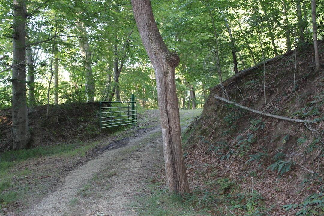 0 Boyer Road Wheelersburg, OH 45694 - Photo 12 of 30
