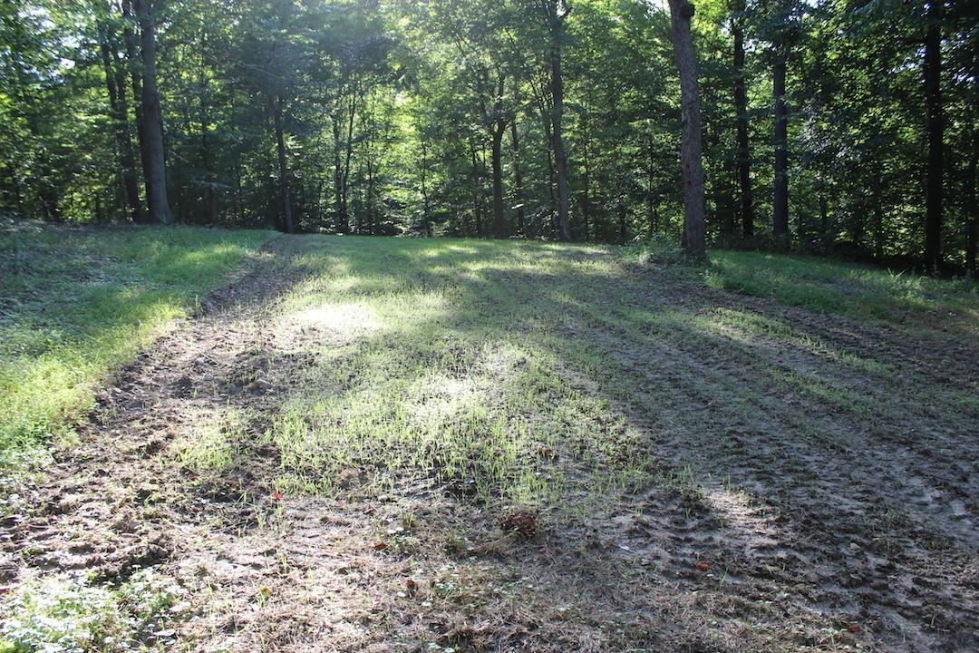 0 Boyer Road Wheelersburg, OH 45694 - Photo 13 of 30