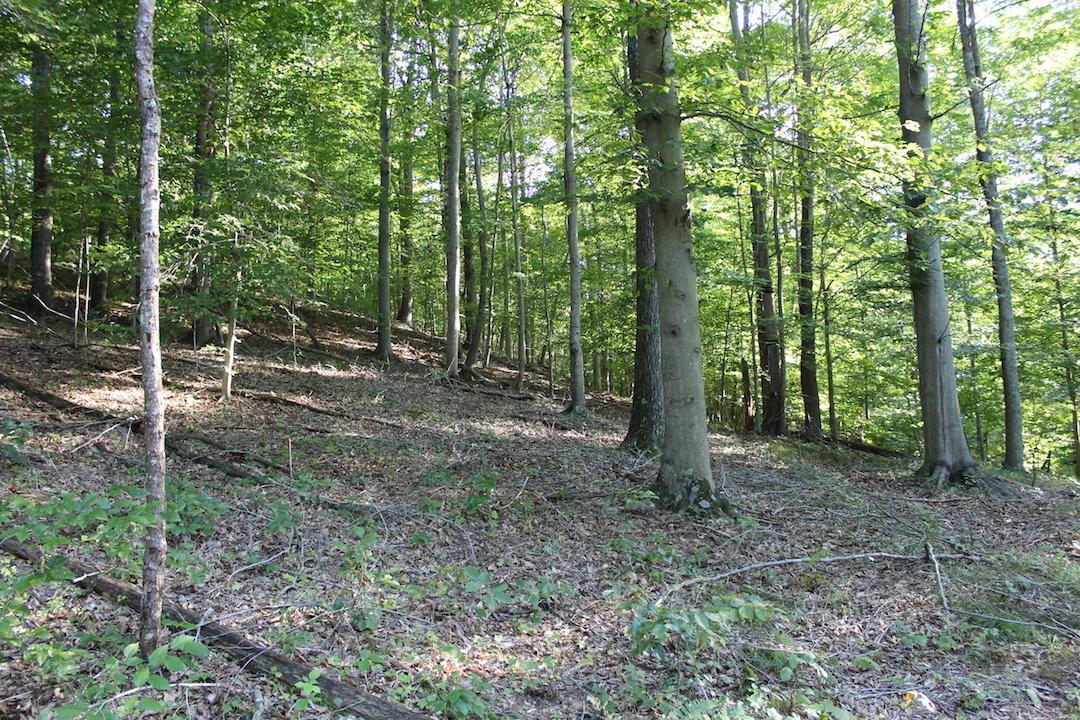 0 Boyer Road Wheelersburg, OH 45694 - Photo 14 of 30