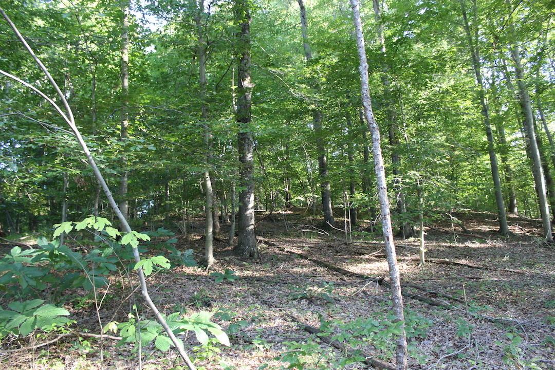 0 Boyer Road Wheelersburg, OH 45694 - Photo 15 of 30