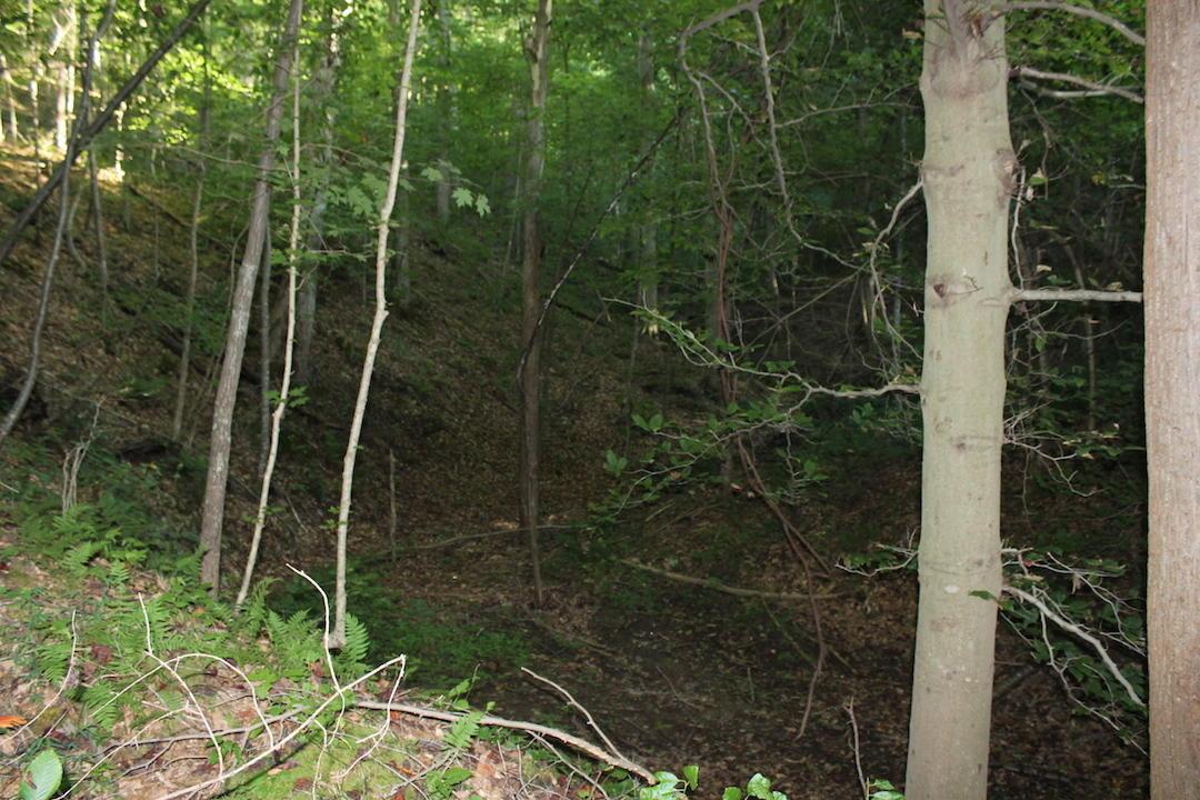 0 Boyer Road Wheelersburg, OH 45694 - Photo 18 of 30
