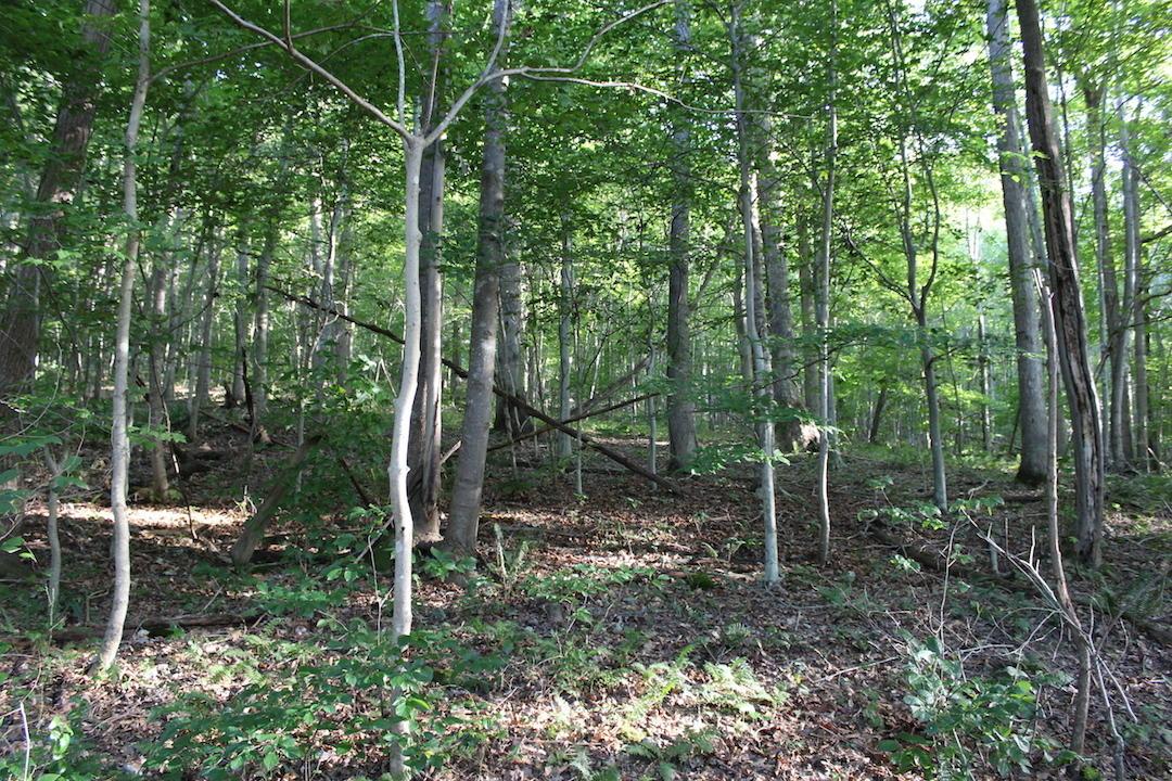 0 Boyer Road Wheelersburg, OH 45694 - Photo 19 of 30
