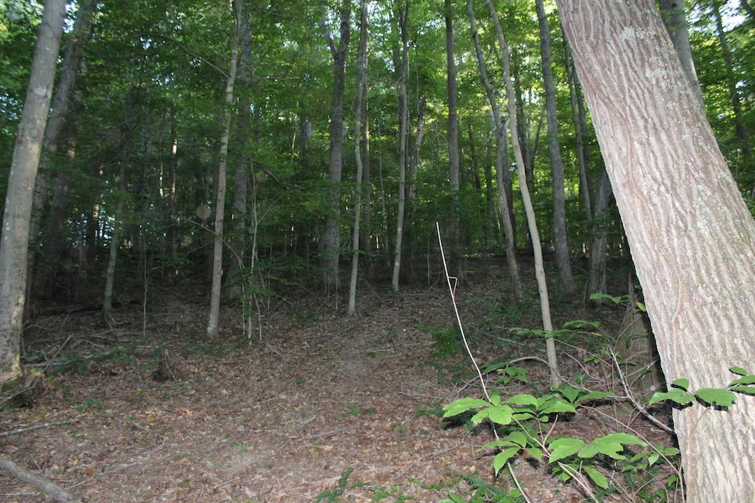 0 Boyer Road Wheelersburg, OH 45694 - Photo 20 of 30