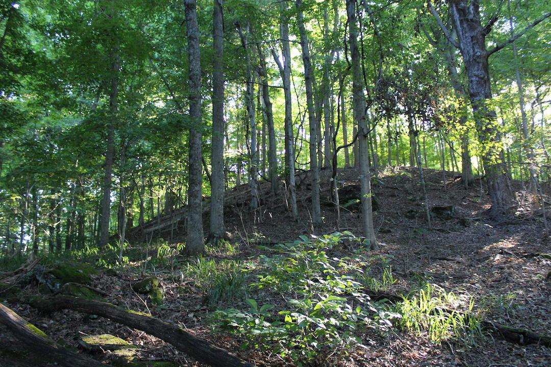 0 Boyer Road Wheelersburg, OH 45694 - Photo 2 of 30