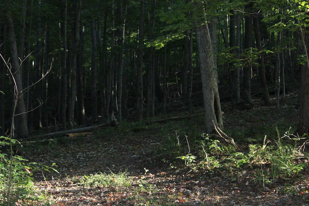 0 Boyer Road Wheelersburg, OH 45694 - Photo 21 of 30