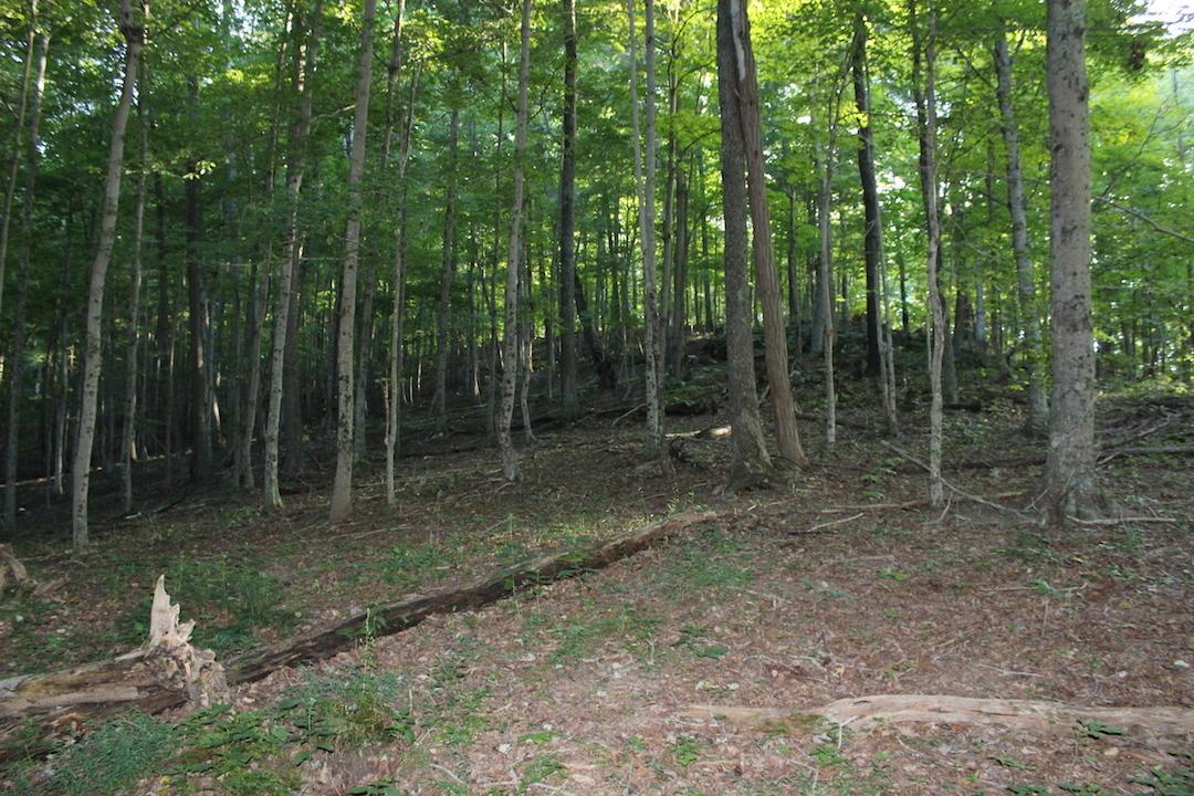 0 Boyer Road Wheelersburg, OH 45694 - Photo 22 of 30