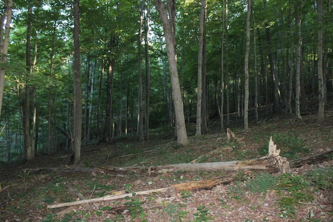 0 Boyer Road Wheelersburg, OH 45694 - Photo 23 of 30