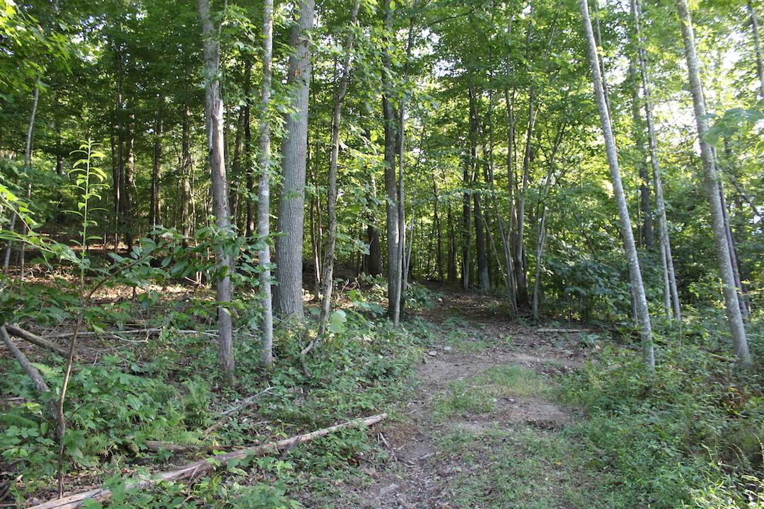 0 Boyer Road Wheelersburg, OH 45694 - Photo 24 of 30