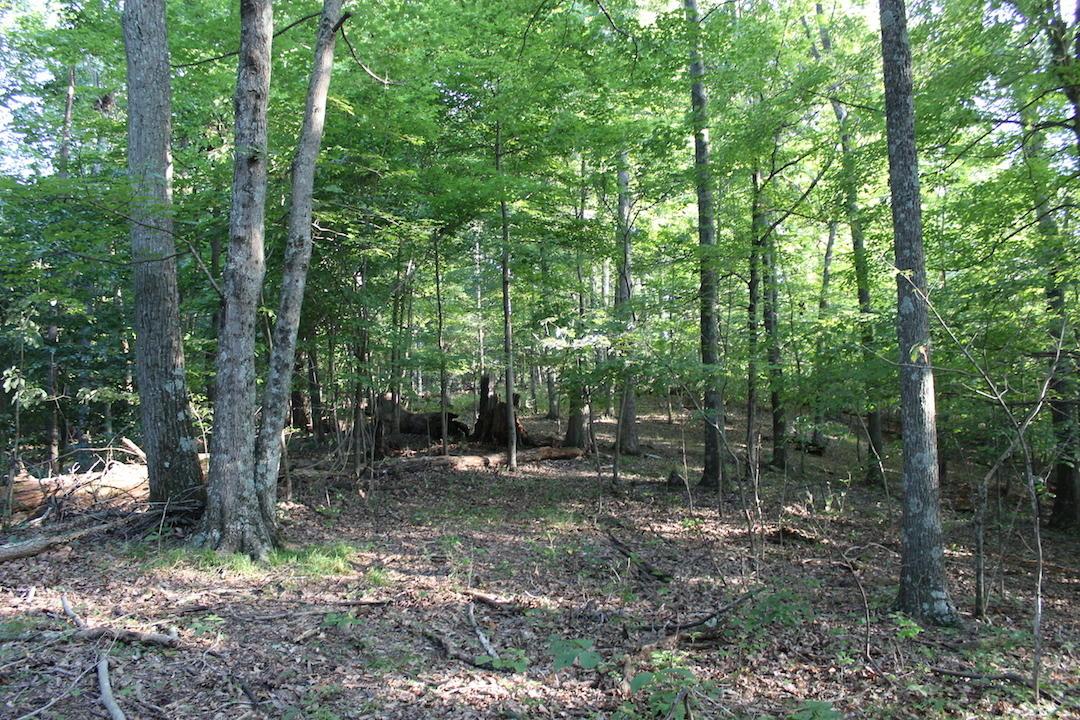 0 Boyer Road Wheelersburg, OH 45694 - Photo 25 of 30